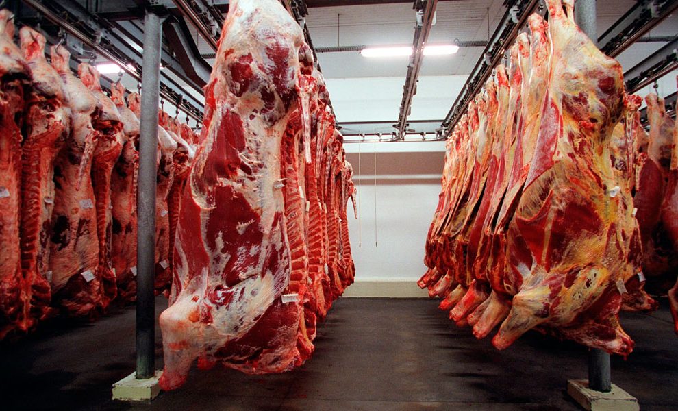Premium Halal Meat Expertise