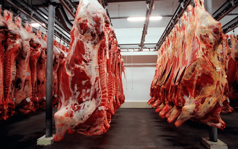 Halal Meat Carcass